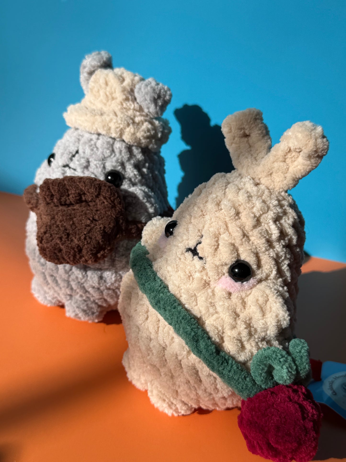 Funny Bunny Couple